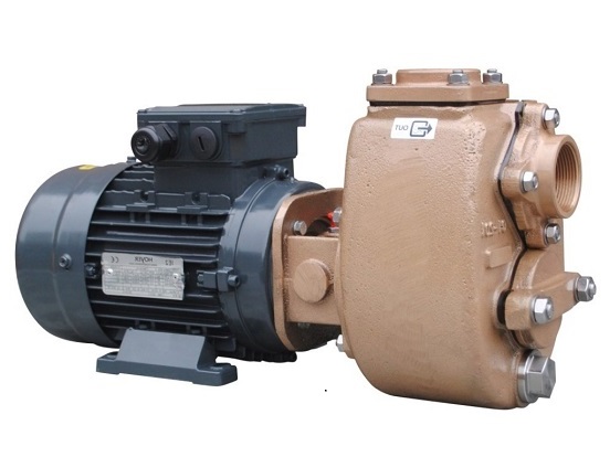 Máy bơm tự mồi apex mã AP3B31‐110 chính hãng giá tốt