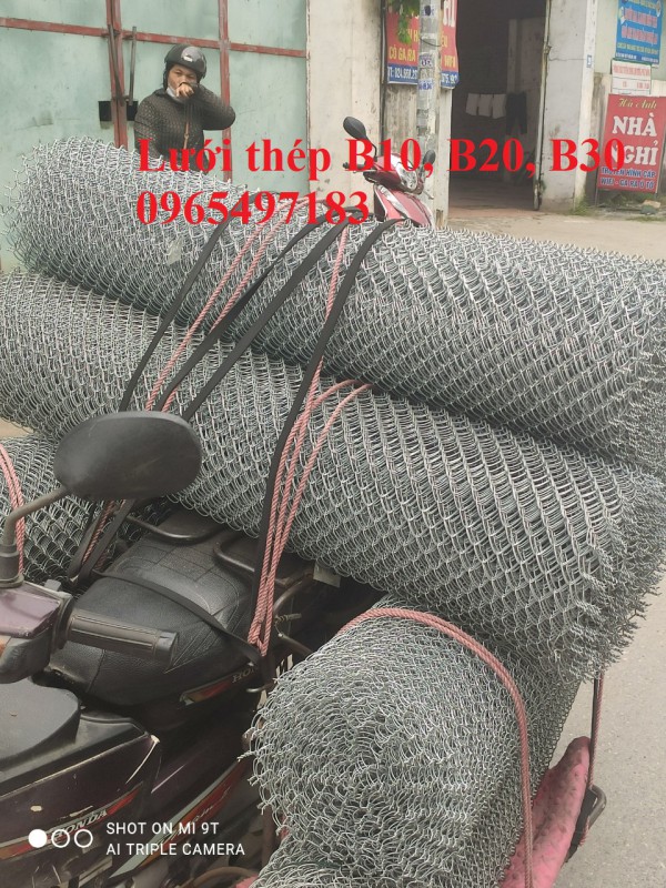 Lưới thép B10, B20, B25, B30 mạ kẽm làm hàng rào, chuồng trại chăn nuôi 