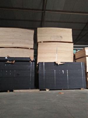 Ván ép Cốp Pha phủ phim giá rẻ 230k tại Hòa Bình