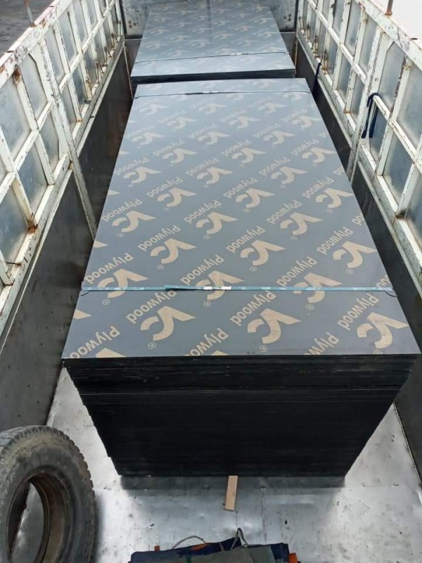 Ván ép cốp pha phủ phim giá rẻ tại Vĩnh Phúc 200k