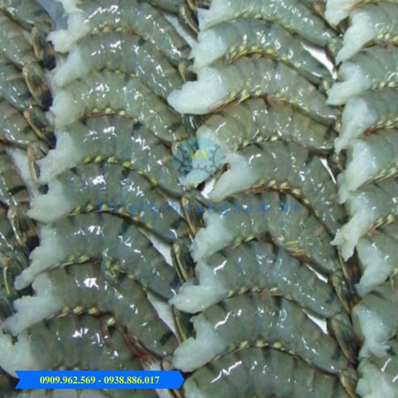 Máy phân cỡ tôm 200g
