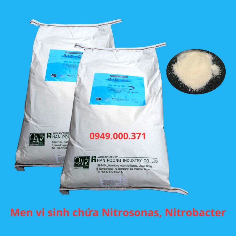 Men vi sinh BIO CL chưa Nitrosomanas, nitrobacter xử lý ao nuôi hiệu quả