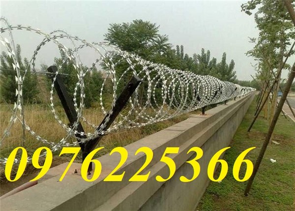Báo giá dây thép gai hàng rào 