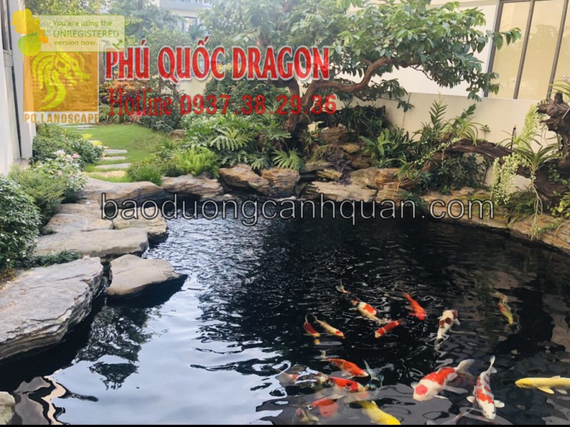 Thi công sân vườn Nhật & hồ cá Koi ở Đồng Nai, Hcm