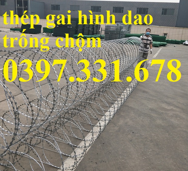 Thép gai hình dao, thép gai bùng nhùng đường kính 80cm giá tốt nhất thị trường