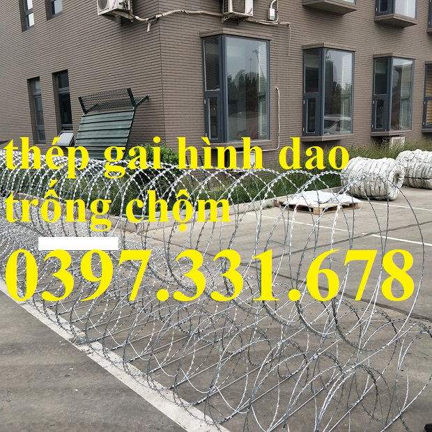 Nơi bán thép gai hình dao đường kính 90cm giá tốt nhất thị trường