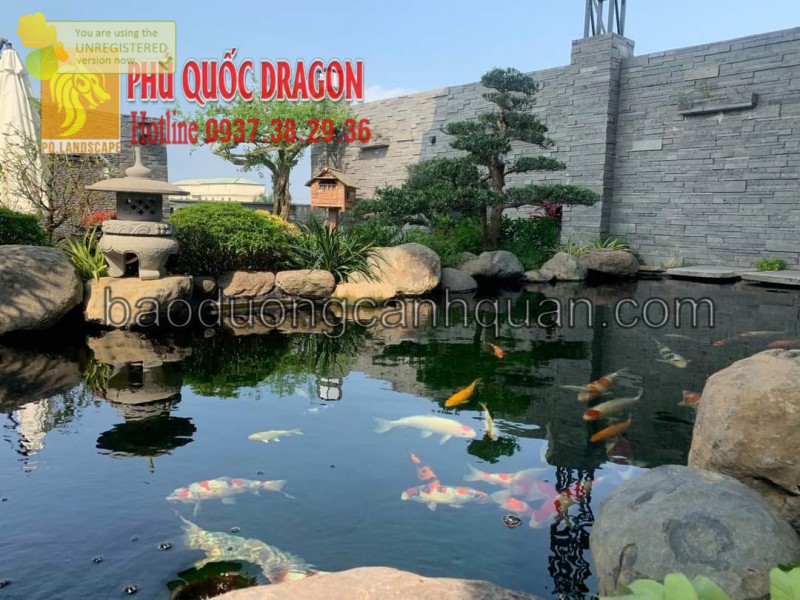 Thi công hồ cá Koi hiện đại ở Đồng Nai, HCM, Củ Chi