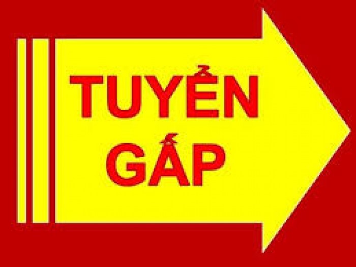 Tuyển nhân viên tạp vụ đi làm ngay 