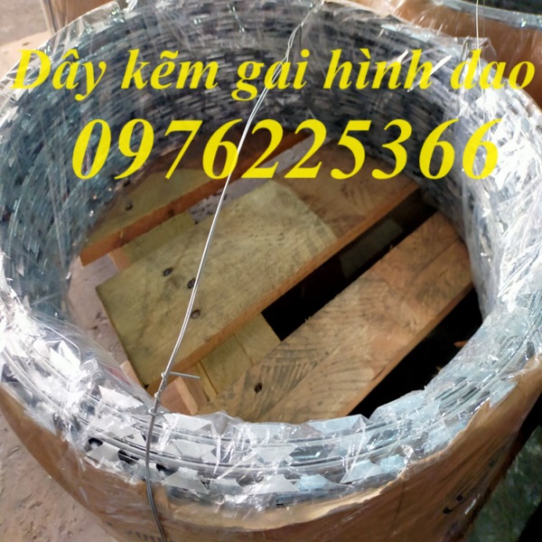 Dây kẽm lam , dây kẽm gai hình dao 