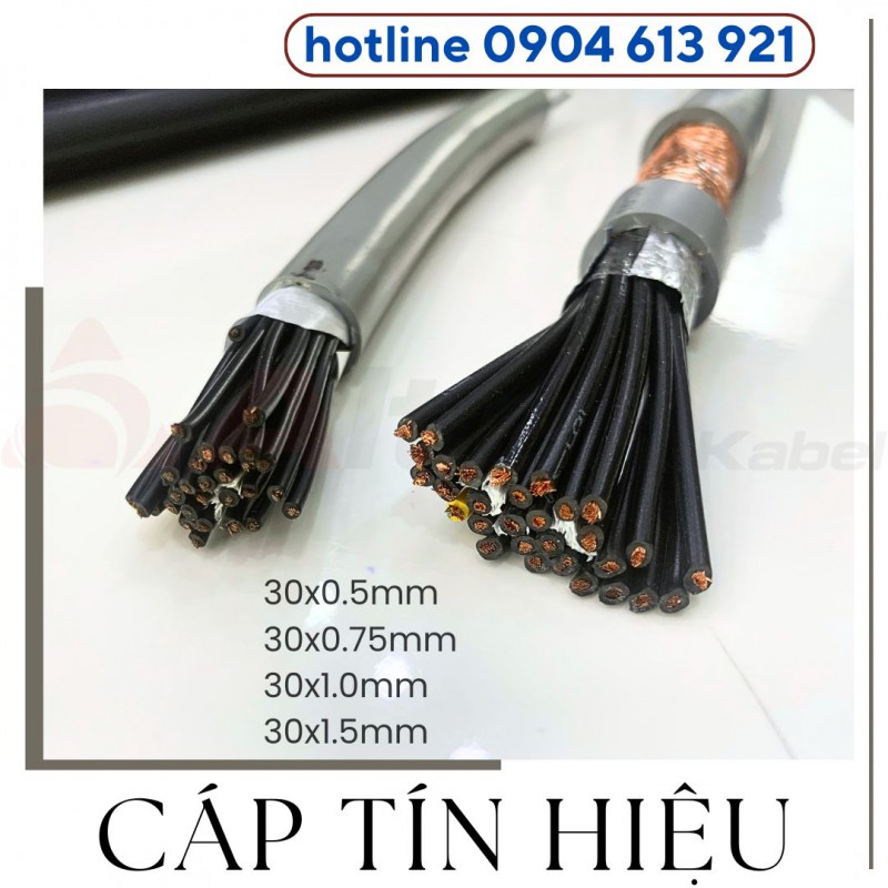 Cáp điện 30 lõi, cáp điều khiển tín hiệu 30x0.5mm/30x0.75mm/30x1.0mm/30x1.5mm Altek Kabel 