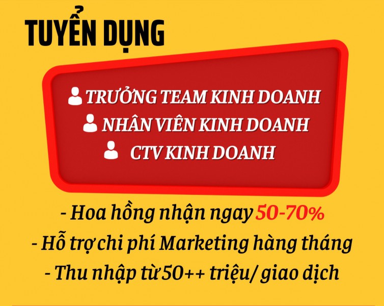 BĐS NHÀ PHỐ VIỆT NAM Tuyển 50 NVKD & Trợ lý kinh doanh 