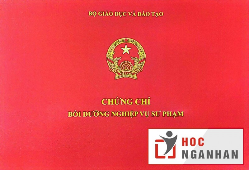 Chinh phục nghề giảng dạy cùng chứng chỉ nghiệp vụ sư phạm đại học, cao đẳng