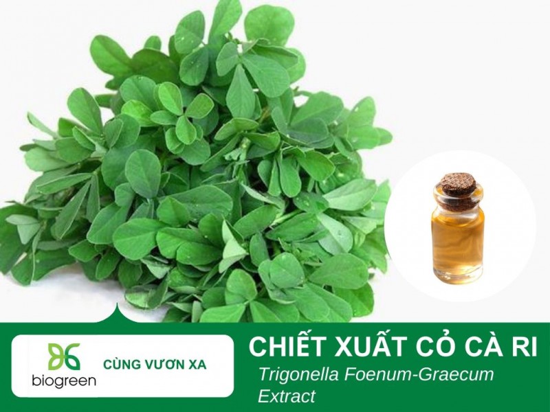 Tác dụng làm đẹp của chiết xuất cỏ cà ri