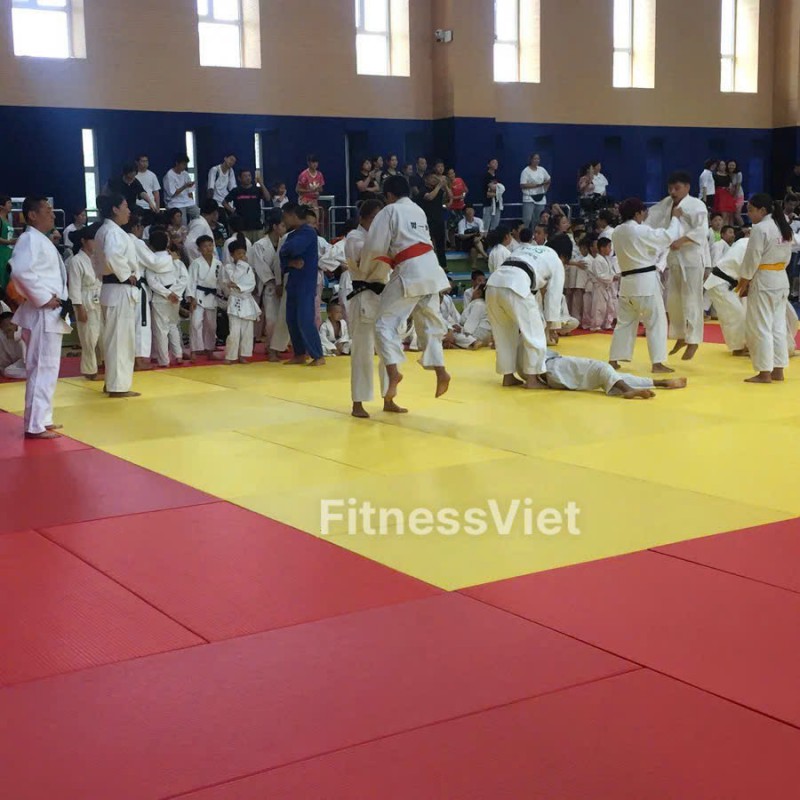 Thảm Tập Vật Juiitsu , Judo , Mma , Bjj