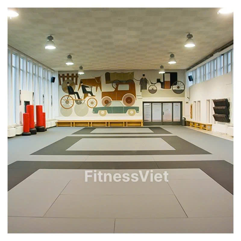 Thảm Tập Vật Juiitsu , Judo , Mma , Bjj