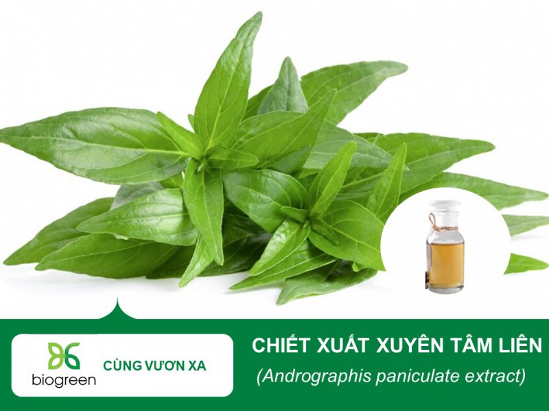 Bán Chiết xuất mỹ phẩm thiên nhiên Biogreen Chiết xuất Xuyên tâm liên