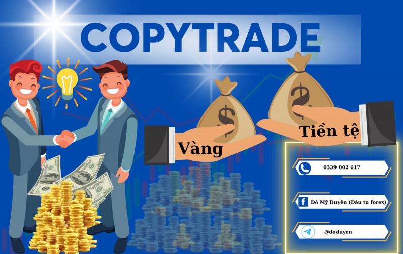 Bắt đầu với copytrade forex như thế nào?