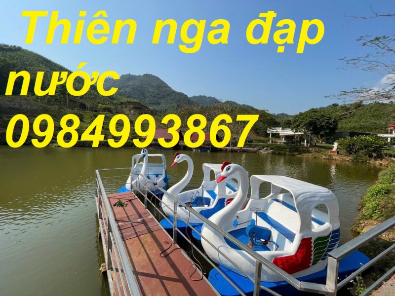 Thuyền Thiên Nga đạp nước dễ sử dụng dành cho 4 người 