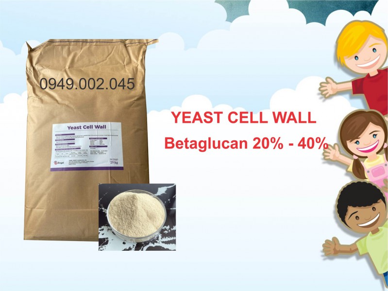 Yeast Cell Wall - Betaglucan TQ giúp tăng cường miễn dịch tôm cá