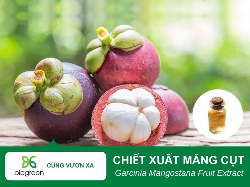 Tác Dụng Làm Đẹp Của Chiết Xuất Măng Cụt