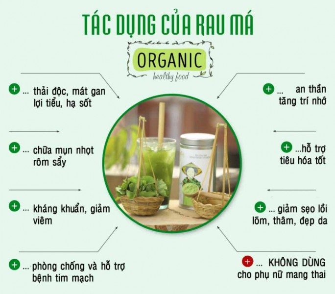 Bột rau má - Lựa chọn hoàn hảo cho sức khỏe và làn da