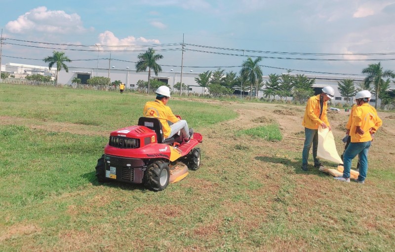 Dịch vụ cắt cỏ, phát hoang giá rẻ KV HCM, Đồng Nai