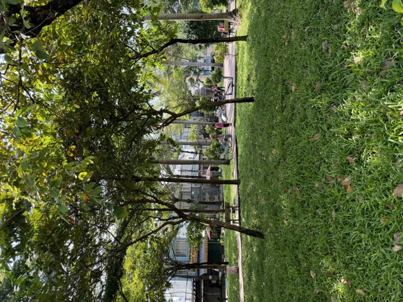 Bán Nhà Vành Đai Trong (số 12), An Lạc A, Bình Tân.Diện tích 82m2 x 4 tầng (4 × 21).Giá 7.25 tỷ TL.