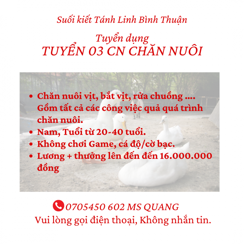 TUYỂN 03 CN CHĂN NUÔI BAO ĂN Ở TÁNH LINH BÌNH THUẬN