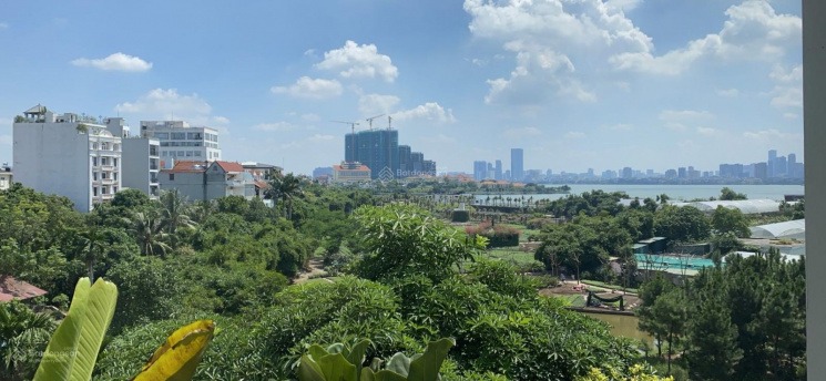 Cơ hội vàng: Đất vàng Hồ Tây 1989m2, view Thung Lũng Hoa, giá hấp dẫn!