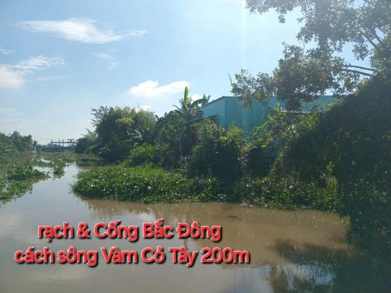 ĐẤT ĐẸP- GIÁ TỐT - Chính Chủ Cần Bán Nhanh Nhà Đất Tại Mỹ An, Thủ Thừa, Long An