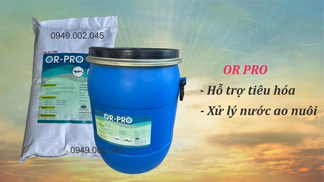 OR - PRO : Men vi sinh hỗ trợ tiêu hóa, xử lý nước ao nuôi thủy sản