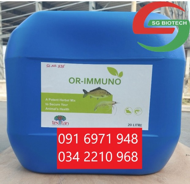 Thảo dược OR IMMUNO chiết suất tỏi tôm nhanh lột xác