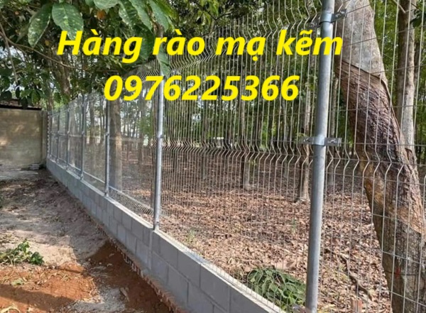 Báo giá hàng rào mạ kẽm D4