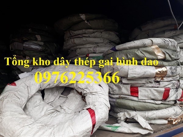 Dây thép gai đường kính 50cm