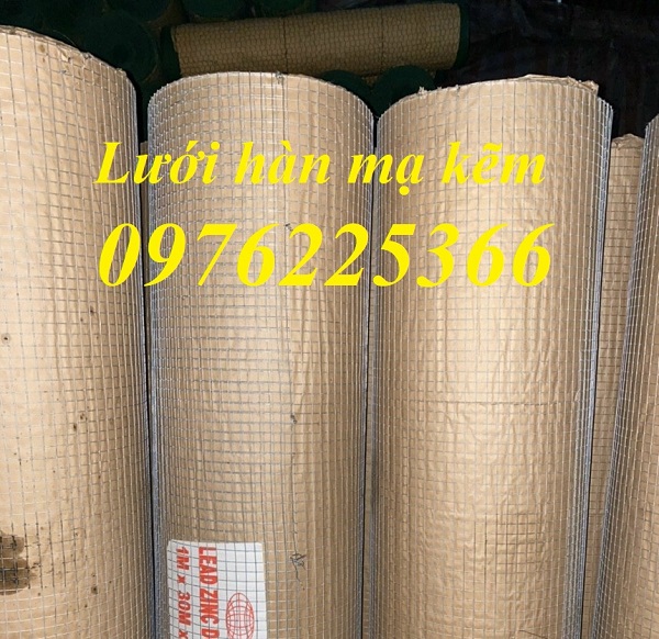 Lưới thép mạ kẽm nhúng nóng 10x10, 15x15, 20x20, 25x25