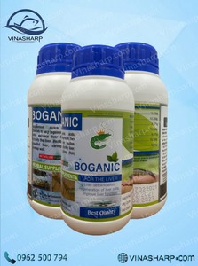  Boganic bổ gan, giải độc giúp gan khoẻ đẹp, tôm cá phát triển tốt