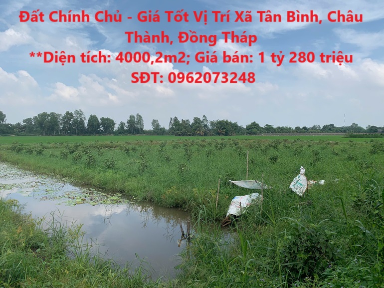 Đất Chính Chủ - Giá Tốt Vị Trí Xã Tân Bình, Châu Thành, Đồng Tháp