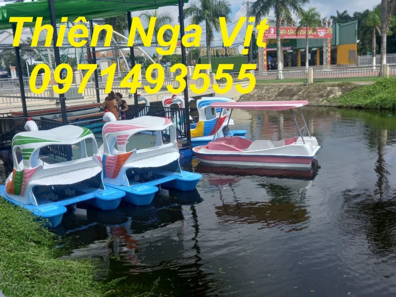 Thuyền Thiên Nga đạp nước đi 2 người lớn 2 trẻ Em 