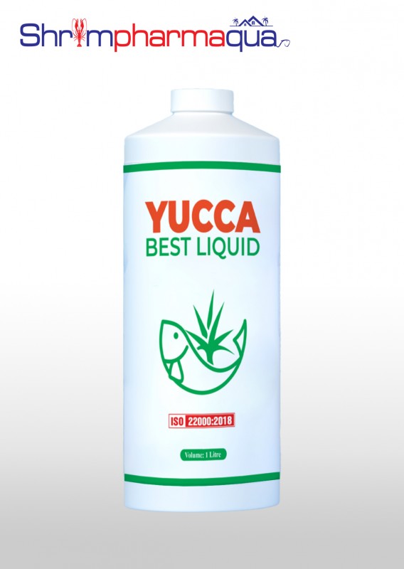 Yucca Best Liquid – Yucca hấp thu khí độc, sạch nước ao nuôi và cấp cứu tôm cá nổi đầu