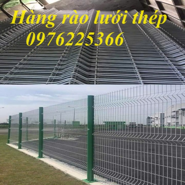 Hàng rào mạ kẽm phi 6 ô 50x200