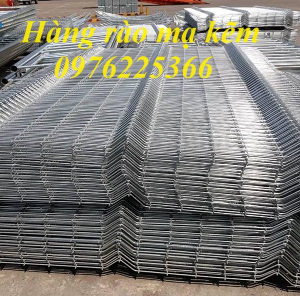 Hàng rào mạ kẽm phi 6 ô 50x200