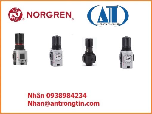 Bộ lọc khí nén Norgren F18-C00-A3DG: Bảo vệ hệ thống khí nén của bạn 