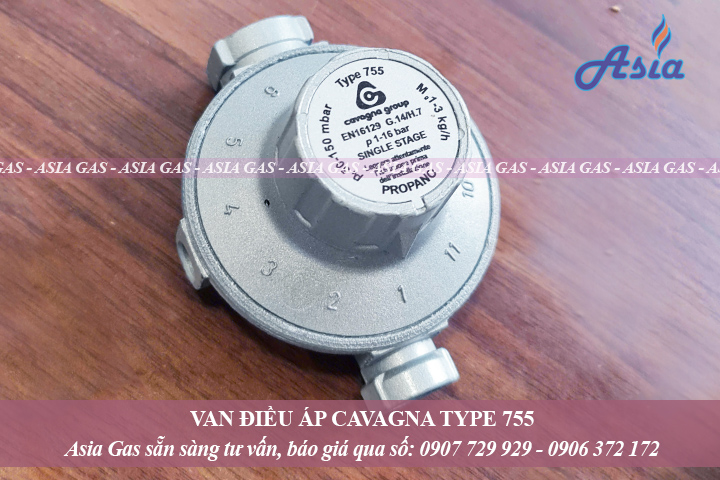 Van gas type 912 Cavagna Group 1-3kg/h