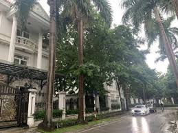 Bán gấp biệt thự khu D Ciputra 276m2  nhà căn góc