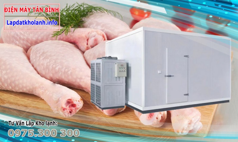 Tư vấn lắp đặt kho lạnh cho cá nhân và doanh nghiệp