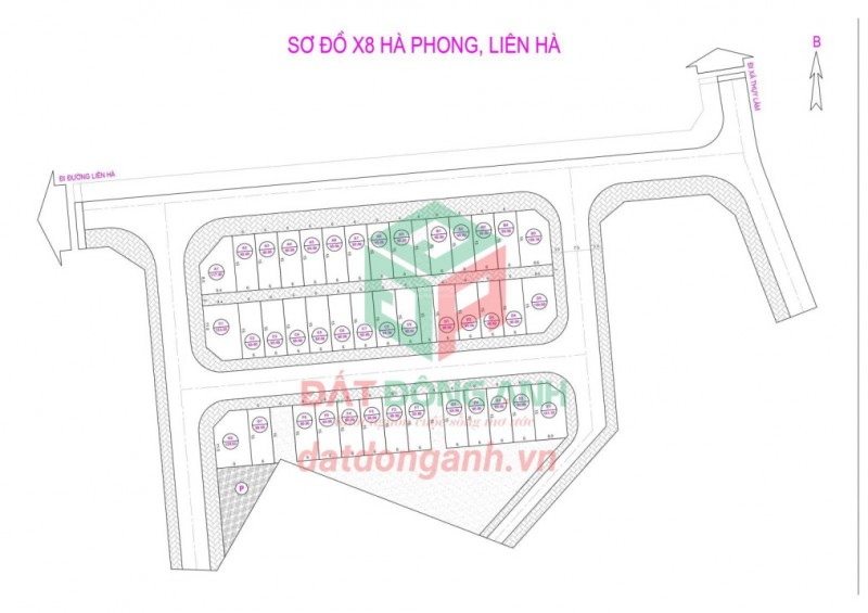 Bán đất đấu giá X8 Hà Phong, Liên Hà, Đông Anh - giá rẻ nhất khu