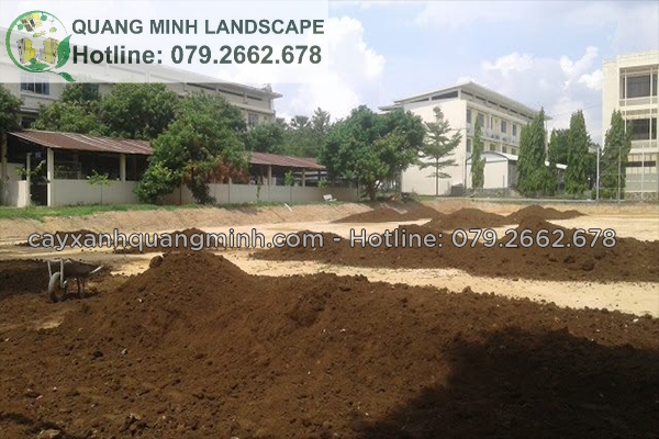 Bán đất màu trồng vườn, trồng cây công trình vỉa hè ở Đồng Nai, HCM