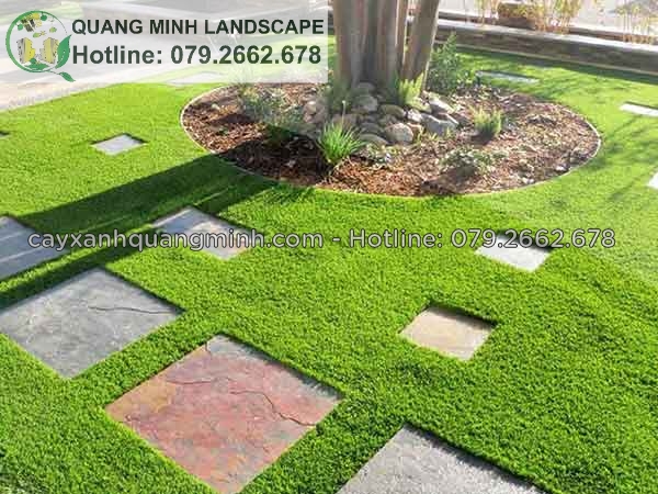 DV trồng cỏ khuôn viên,cỏ lá gừng,cỏ vườn SLL tại Đồng Nai,HCM