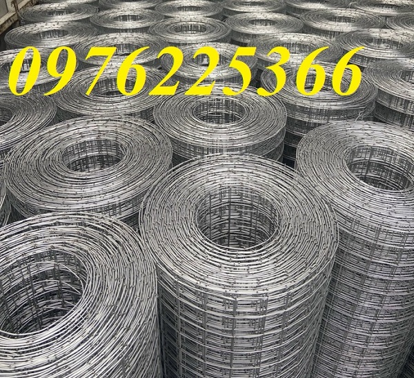 Lưới thép hàn cuộn ô 50x50 mạ kẽm