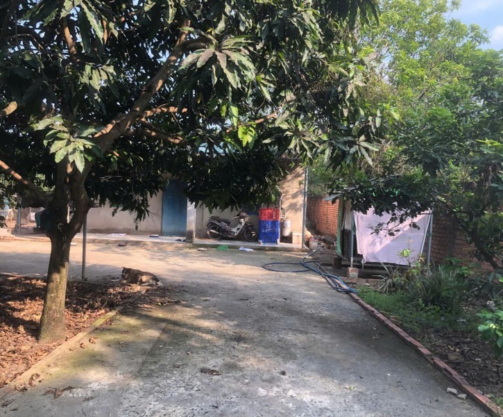 SIÊU PHẨM - CHÍNH CHỦ CẦN BÁN ĐẤT VƯỜN 2 MẶT TIỀN ĐẸP – ĐƯỜNG XÓM HUẾ, TRỊ AN, VĨNH CỬU, ĐỒNG NAI.